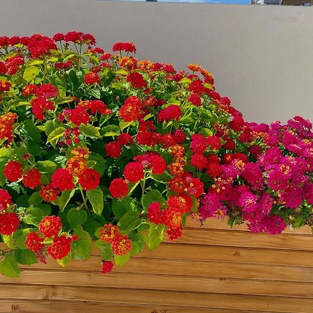 The Little Big Apartment In The Heart Of Heraklion 外观 照片