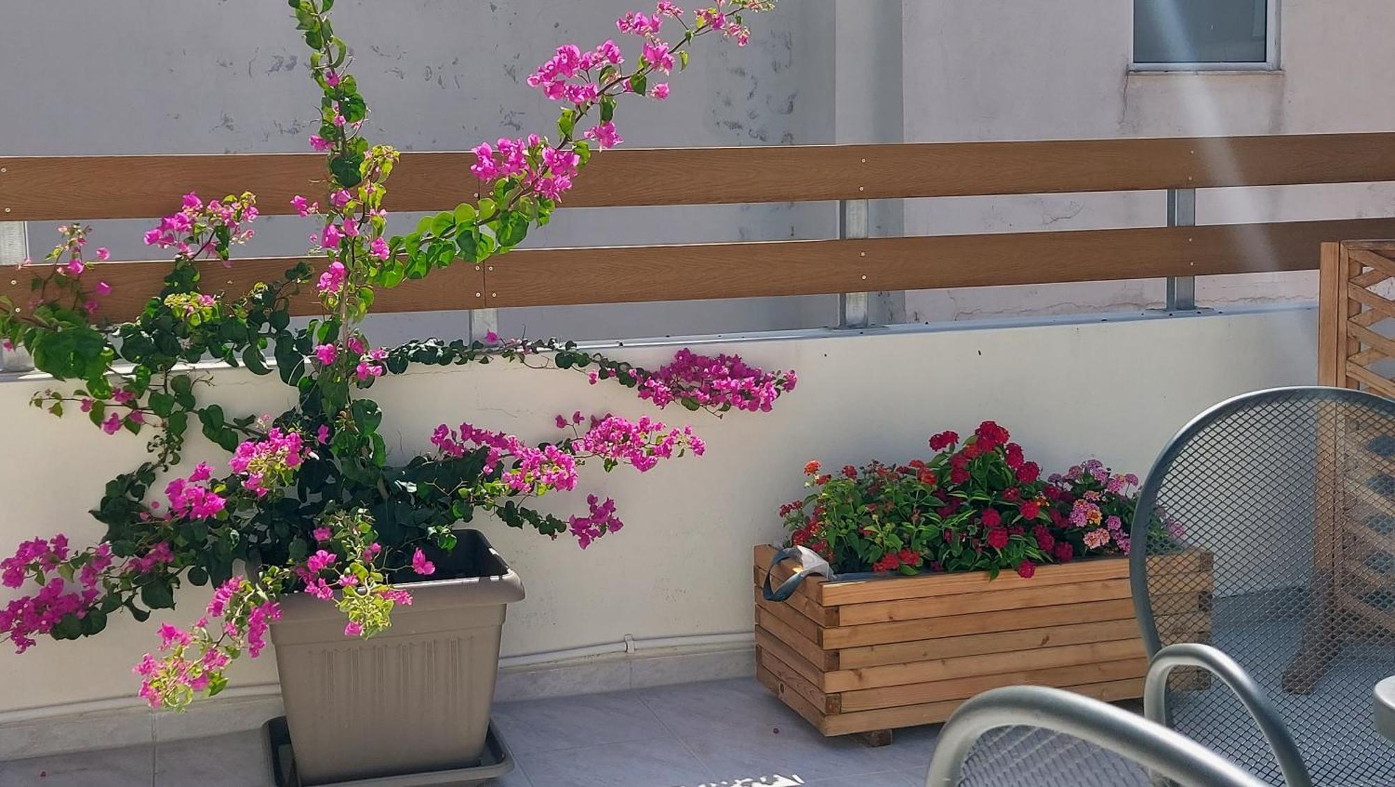 The Little Big Apartment In The Heart Of Heraklion 外观 照片